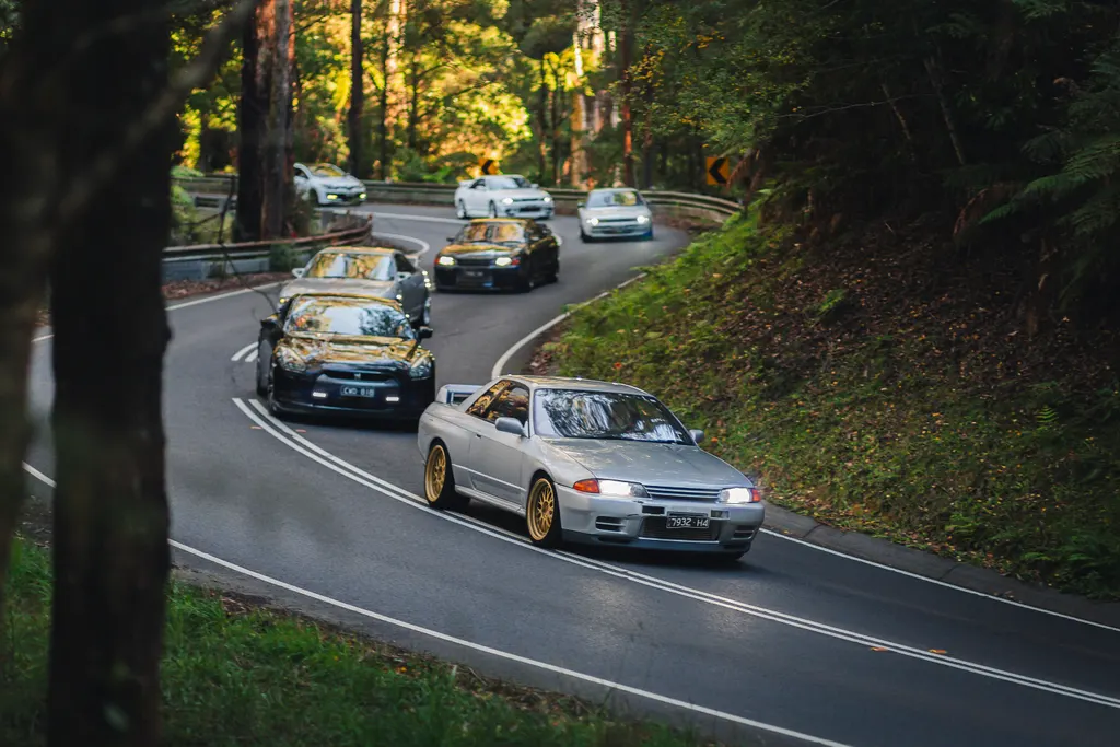 A convoy of sports cars navigates a winding forest road lined with tall trees and dense vegetation.