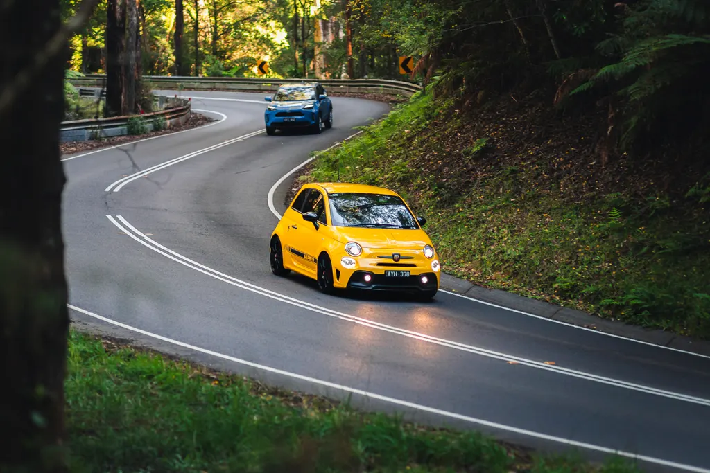 Yellow and blue compact cars navigating a winding forest road with white center line markings.