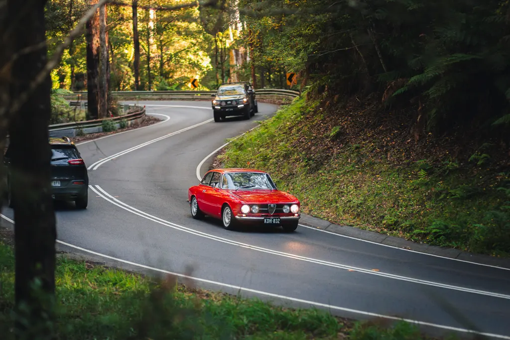 A red vintage sports car leads a procession of classic vehicles through a winding forest road lined with tall trees.