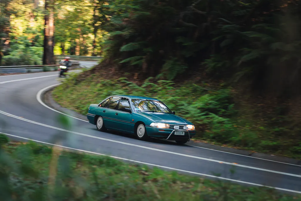 Teal sedan navigating a curved forest road with dense green vegetation on both sides.