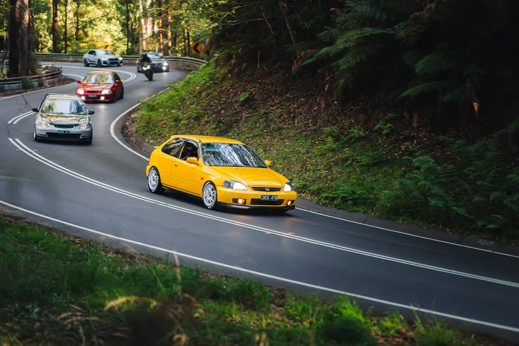 A yellow sports car leads a convoy of vehicles through a winding forest road lined with dense green vegetation.