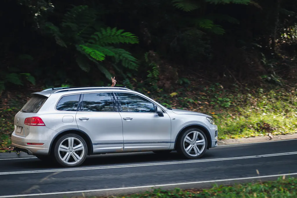 Silver SUV driving on a road lined with dense green forest and ferns.