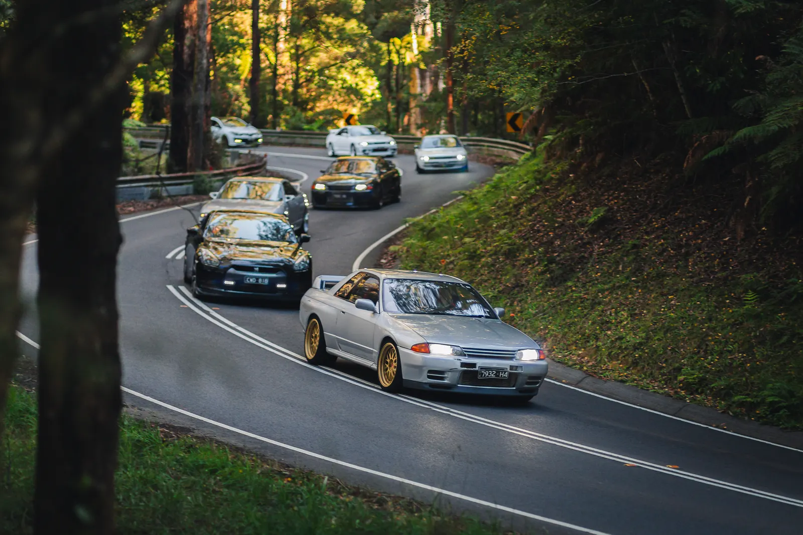 A convoy of sports cars navigates a winding forest road lined with tall trees and dense vegetation.