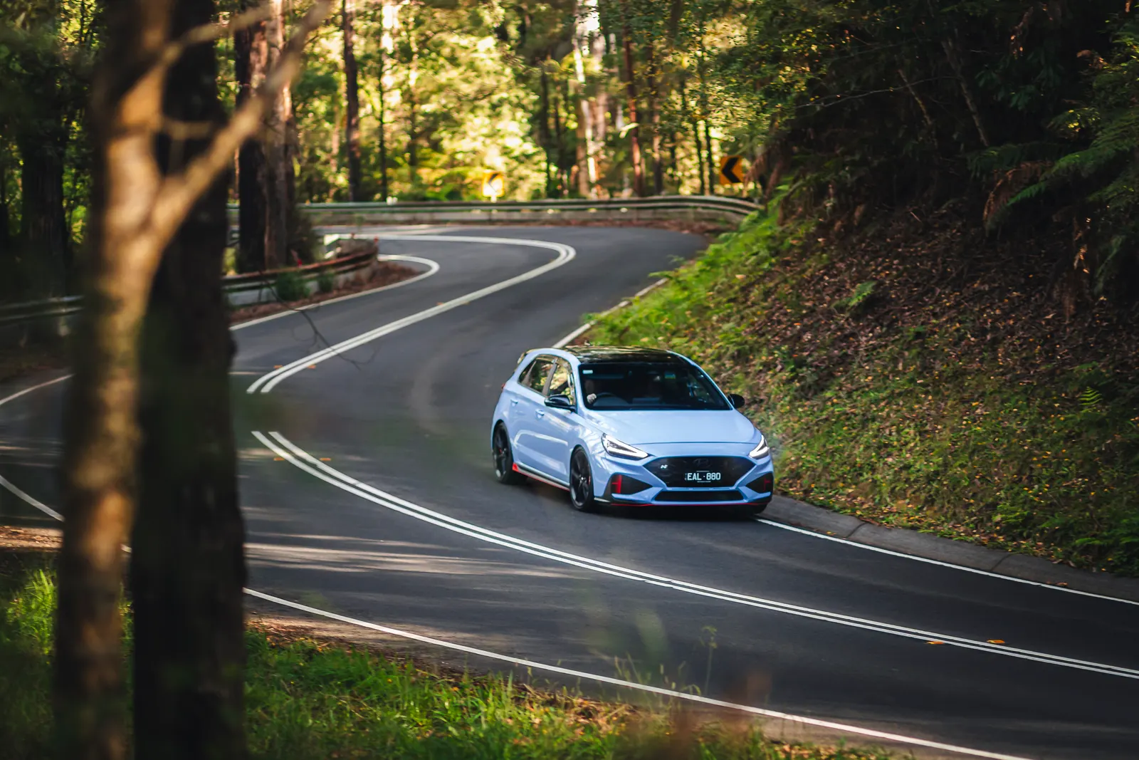 White compact car navigating a winding forest road with dense green vegetation on both sides.