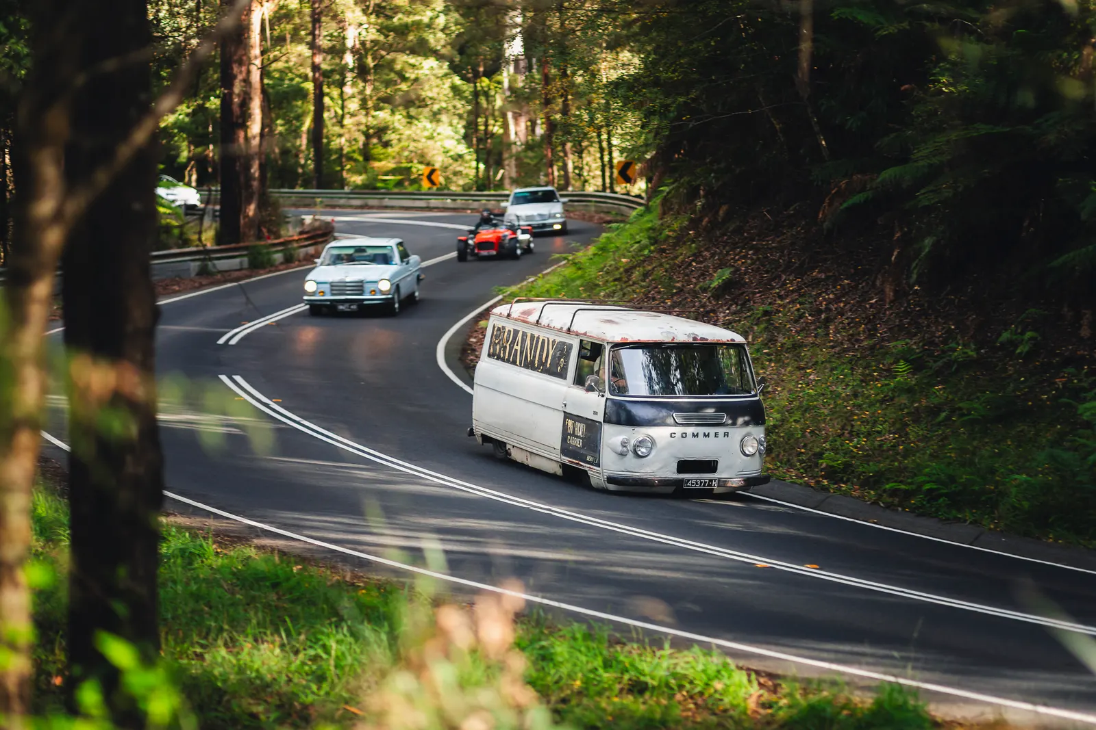 A vintage Citroën van leads a procession of classic cars through a winding forest road lined with tall trees.