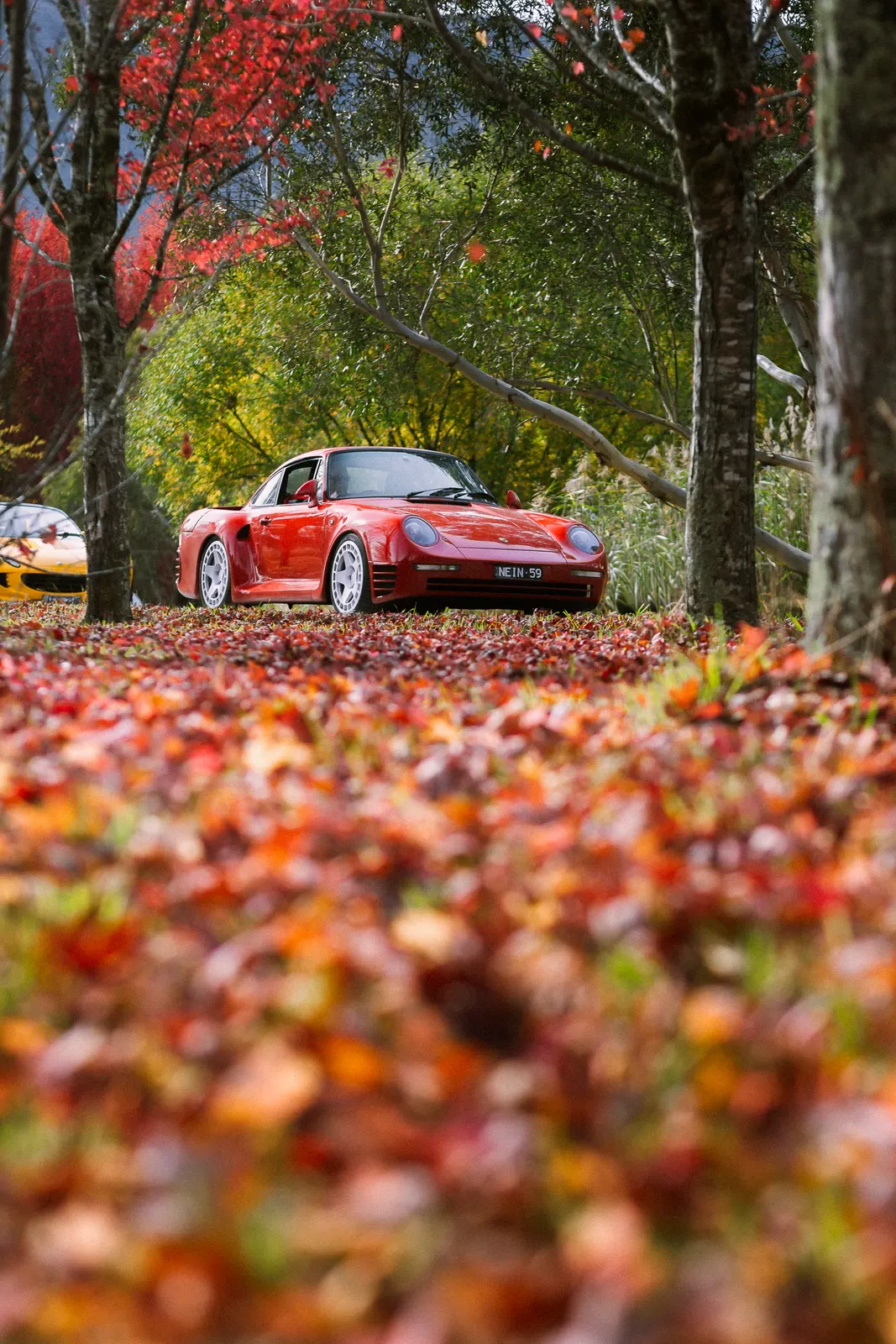 Red sports car parked among fallen autumn leaves beneath canopy of trees with red and yellow foliage.