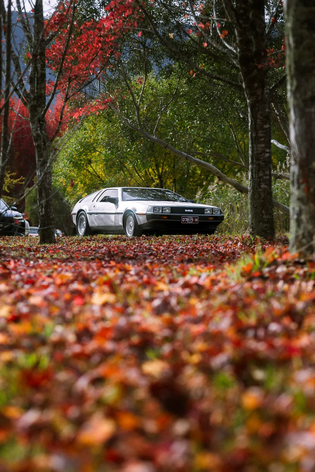White DeLorean parked beneath autumn trees with fallen red leaves covering the ground.