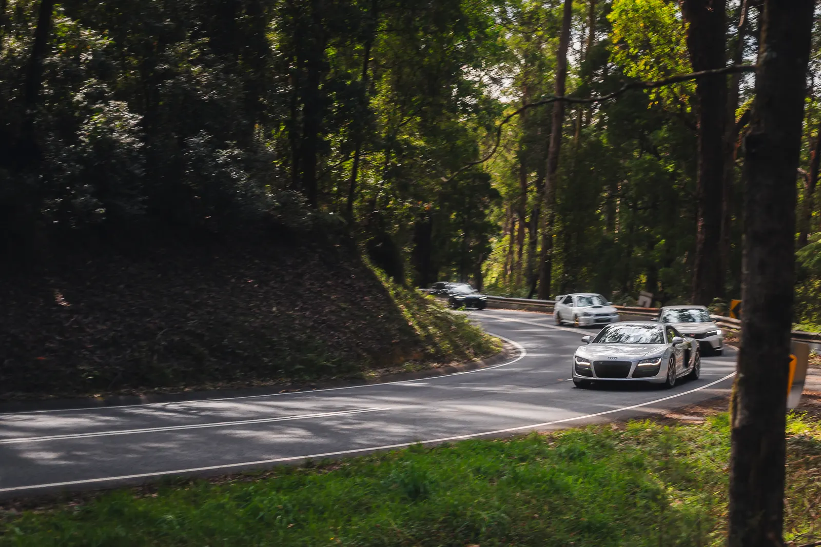 Sports cars navigating a winding forest road lined with tall trees and dense vegetation.